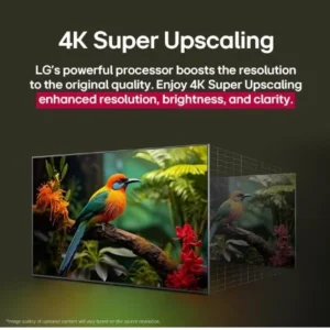 LG 55QNED8BA6A 55 Inch QNED 4K Smart TV with α7 AI Processor Gen8 & Dolby Atmos