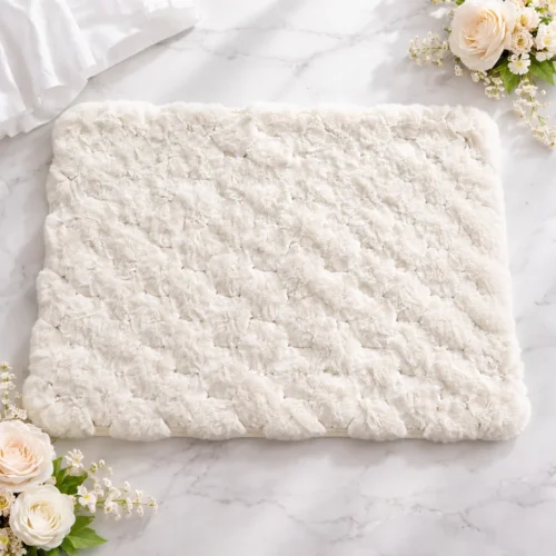 AJS Soft Anti-Slip Water Absorbent Ground Mat 40x60 cm | Microfiber Floor Mat for Bathroom & Entrance